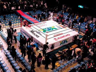 Ring mats for combat sports produced by Soko Corporation